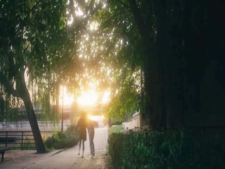 A couple walks along a tree-lined path in golden light